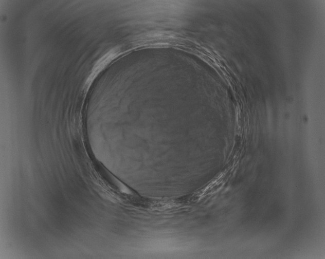 X0000067890099200605041602