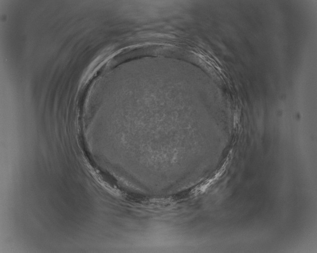 X0000067890101200605041602