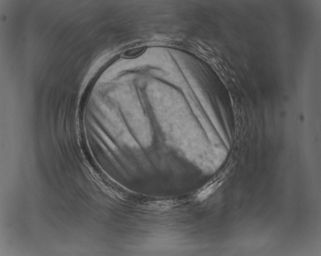 X0000067890102200605041602