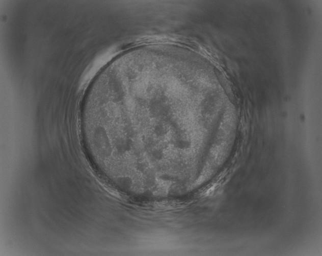 X0000067890103200605041602