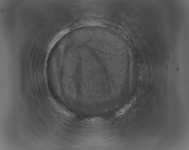 X0000067890104200605041602