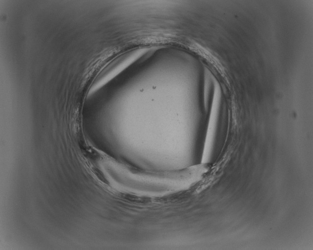 X0000067890105200605041602