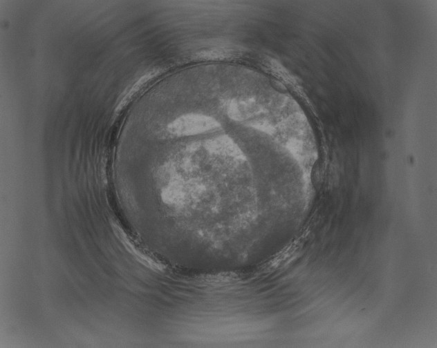 X0000067890106200605041602