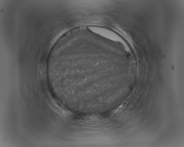 X0000067890107200605041602