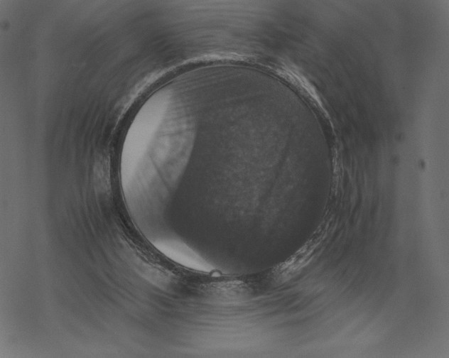 X0000067890108200605041602