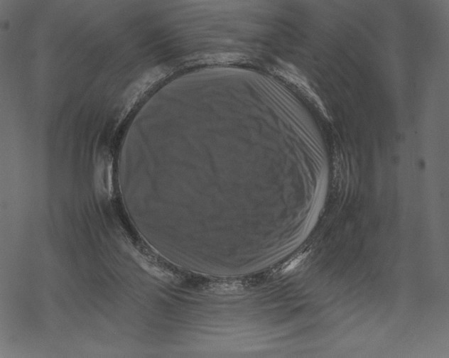 X0000067890110200605041602