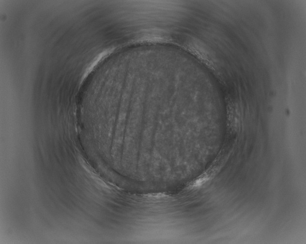 X0000067890112200605041602