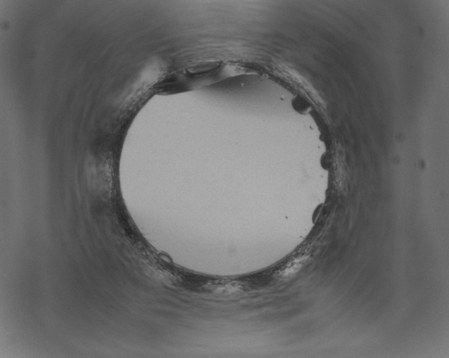 X0000067890113200605041602