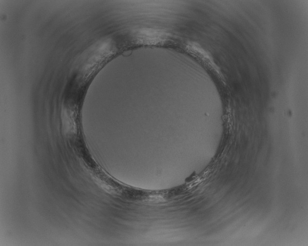 X0000067890114200605041602