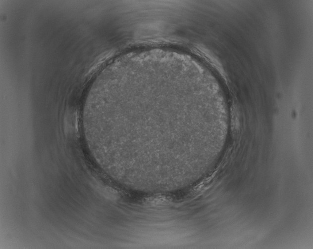 X0000067890115200605041602