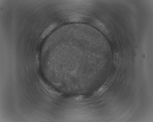 X0000067890116200605041602