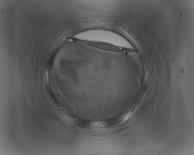 X0000067890117200605041602