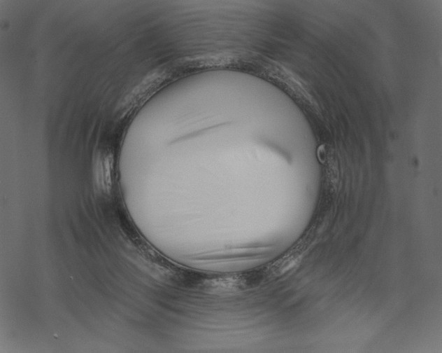 X0000067890118200605041602