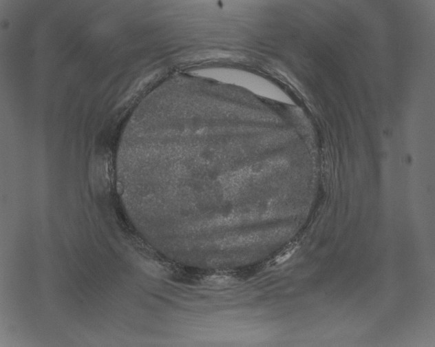 X0000067890119200605041602