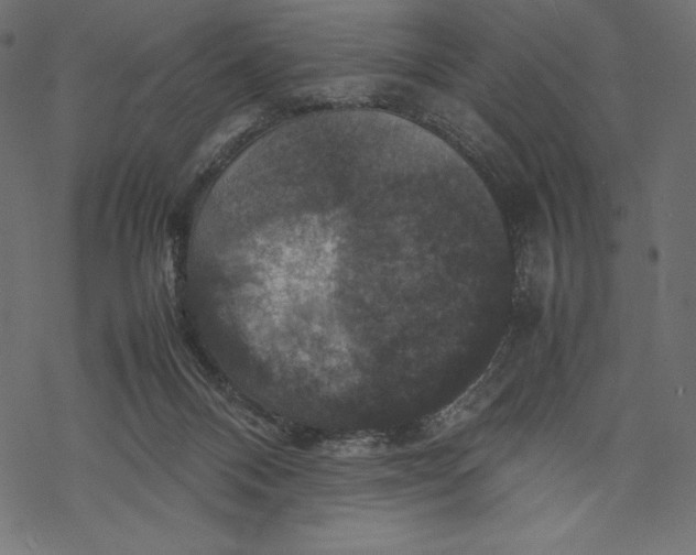 X0000067890120200605041602