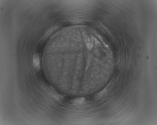 X0000067890124200605041602