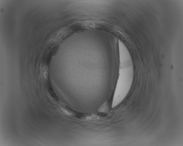 X0000067890125200605041602