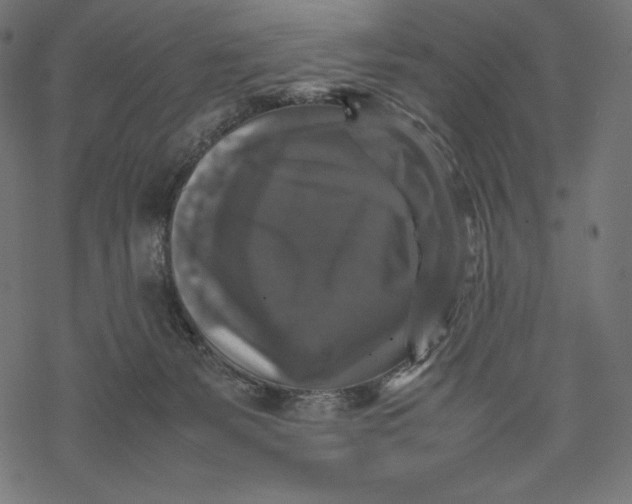 X0000067890127200605041602