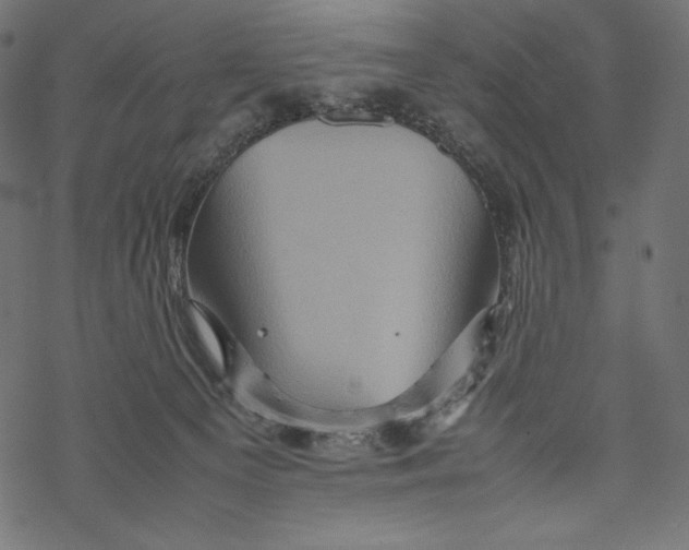 X0000067890129200605041602