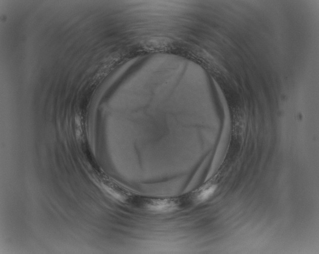 X0000067890130200605041602