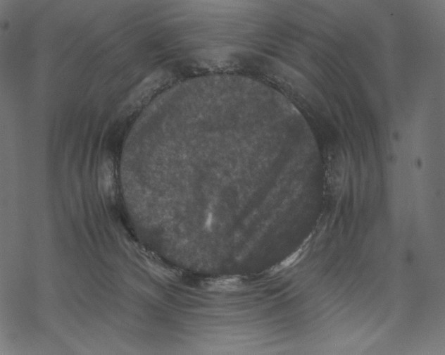 X0000067890132200605041602