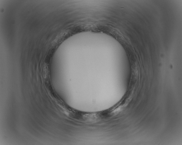 X0000067890133200605041602