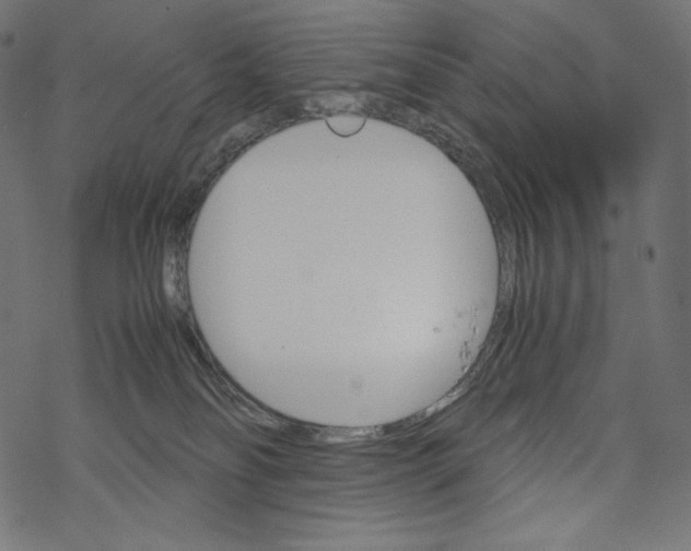 X0000067890134200605041602