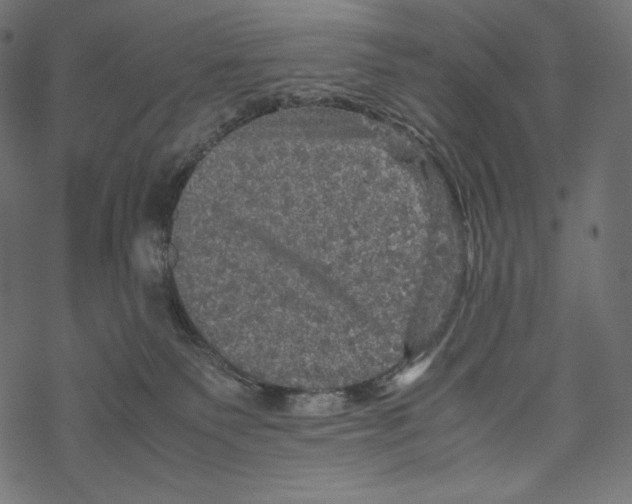 X0000067890135200605041602