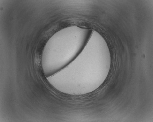 X0000067890137200605041602