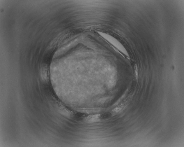 X0000067890138200605041602