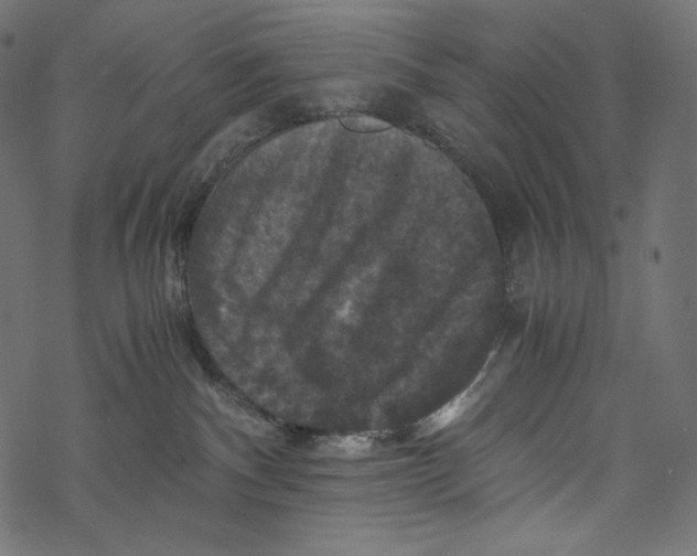 X0000067890140200605041602