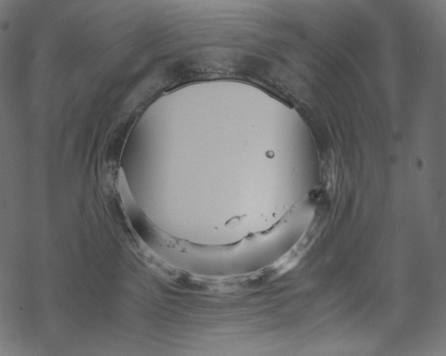 X0000067890141200605041602