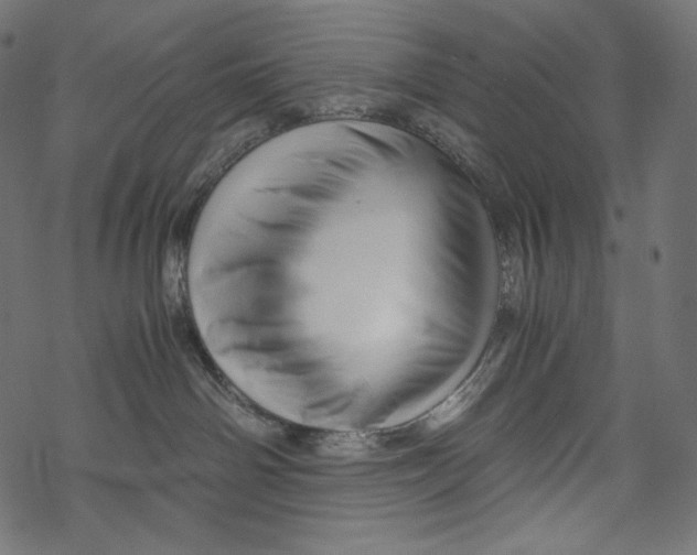 X0000067890142200605041602