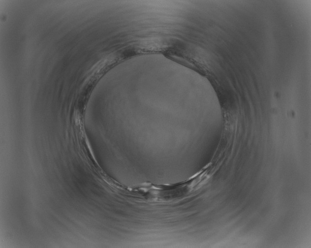 X0000067890143200605041602