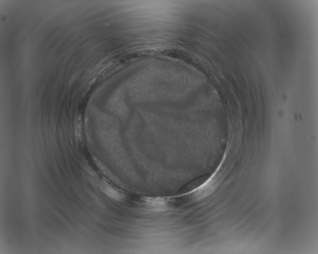 X0000067890144200605041602