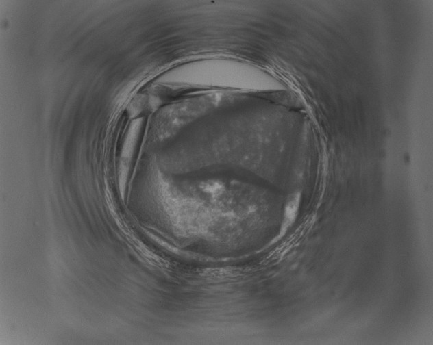 X0000067890145200605041601