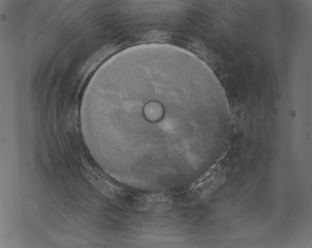 X0000067890146200605041601