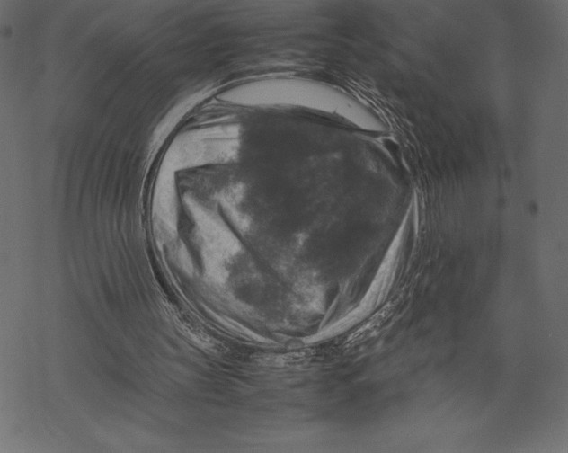 X0000067890147200605041601