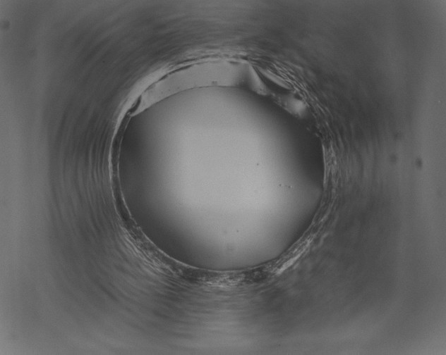 X0000067890148200605041601