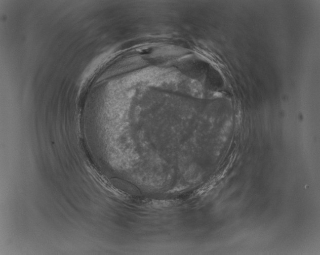 X0000067890149200605041601