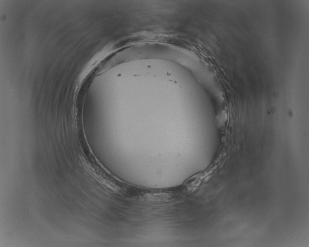 X0000067890150200605041601