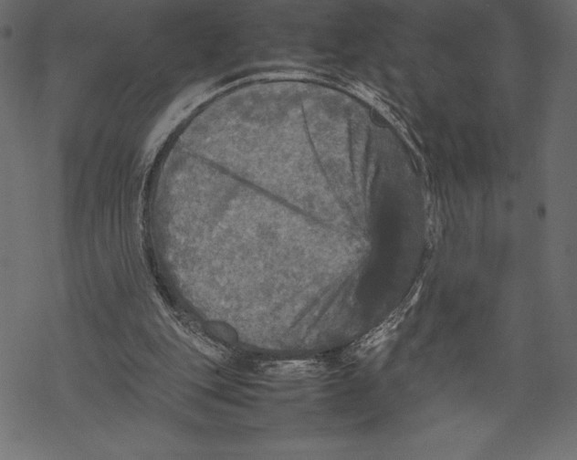 X0000067890151200605041601