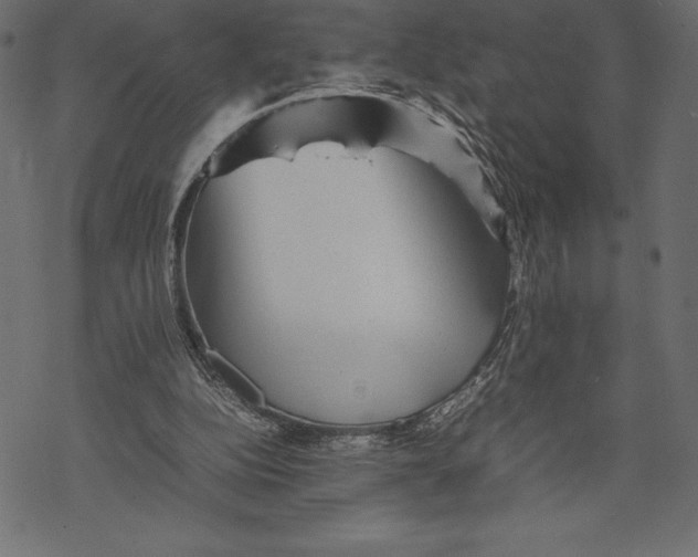 X0000067890152200605041601