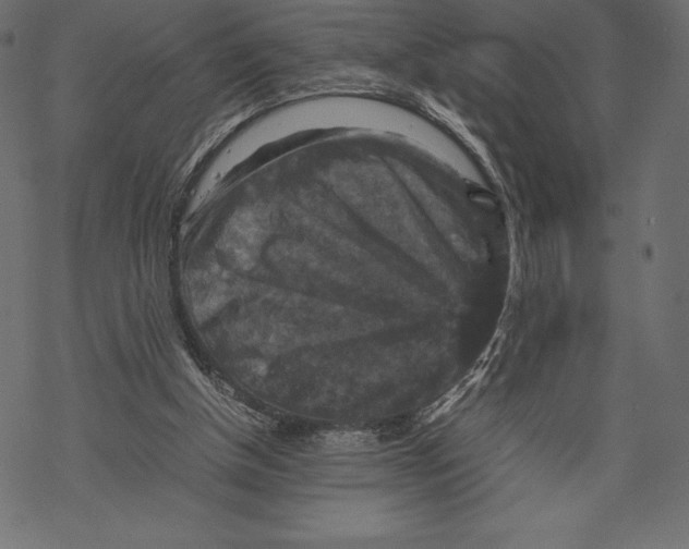 X0000067890154200605041601