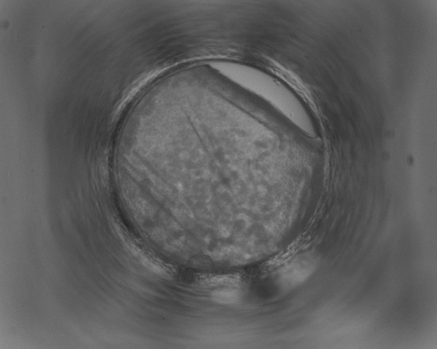 X0000067890155200605041601