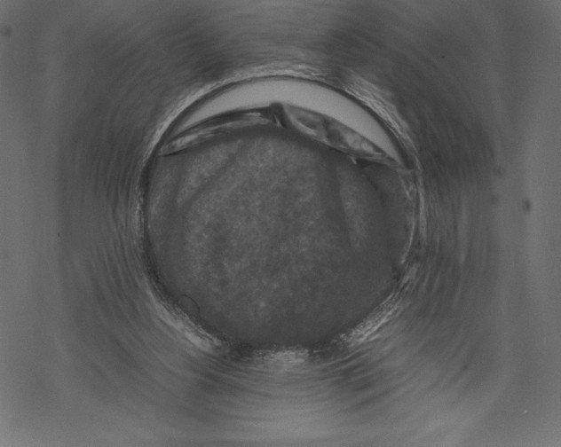 X0000067890156200605041601