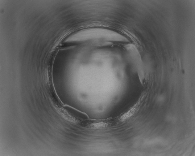 X0000067890158200605041601