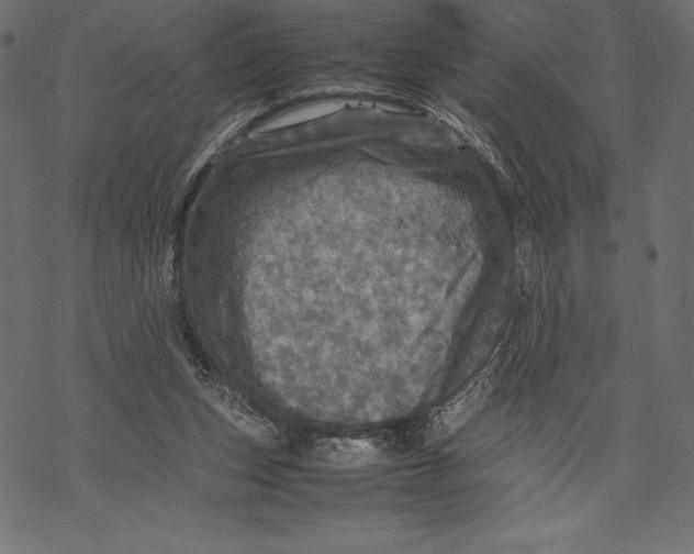 X0000067890159200605041601