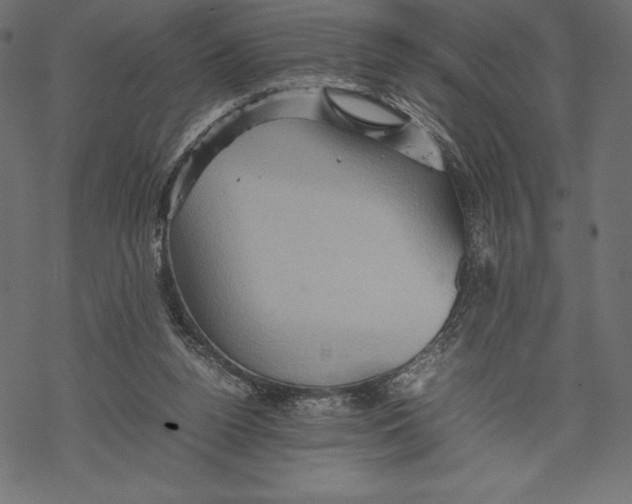 X0000067890160200605041601