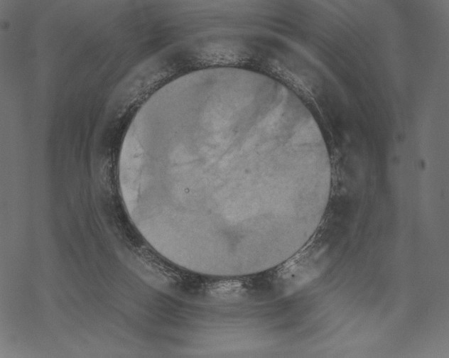 X0000067890162200605041601